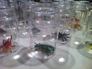 WHAT'S BUGGING BAILY BLECKER Book Launch