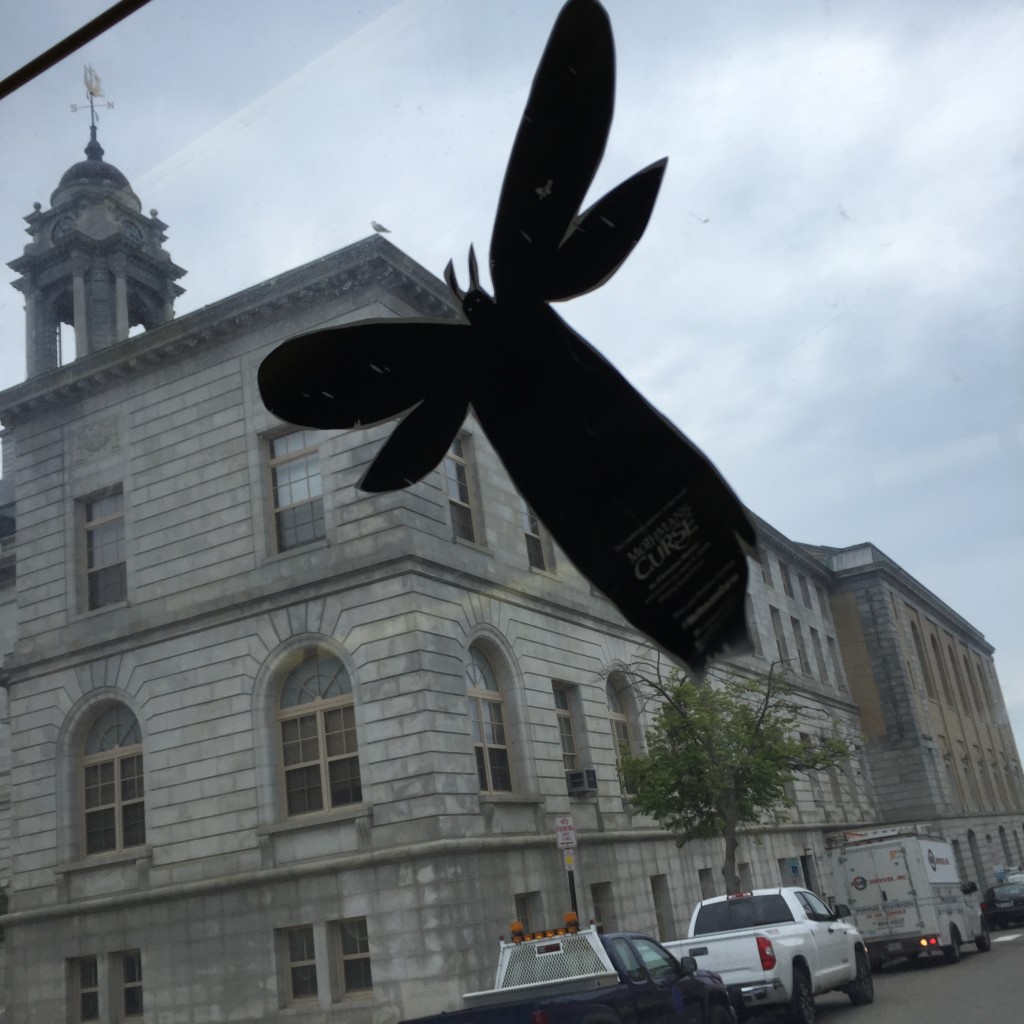 Curious City "Fakes a Mothman Sighting" Over City Hall