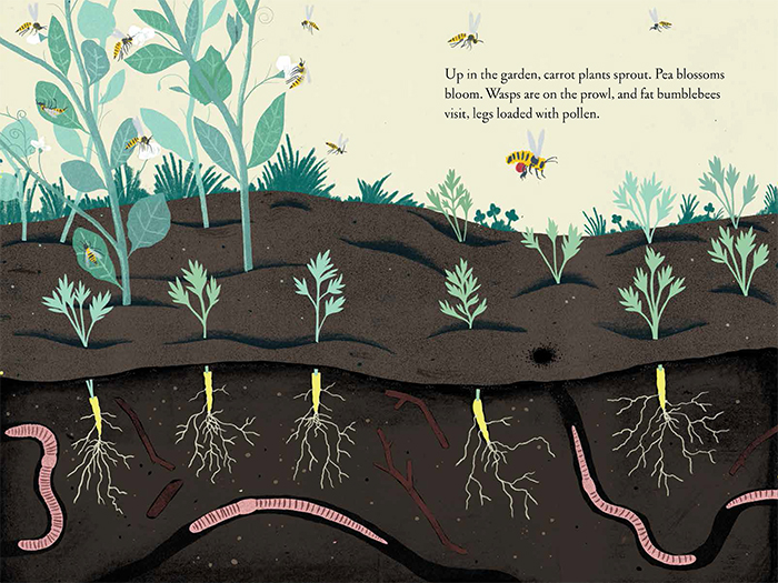 Illustration © Christopher Silas Neal